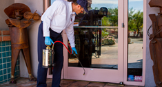 Restaurant Pest Activity - What to Watch For